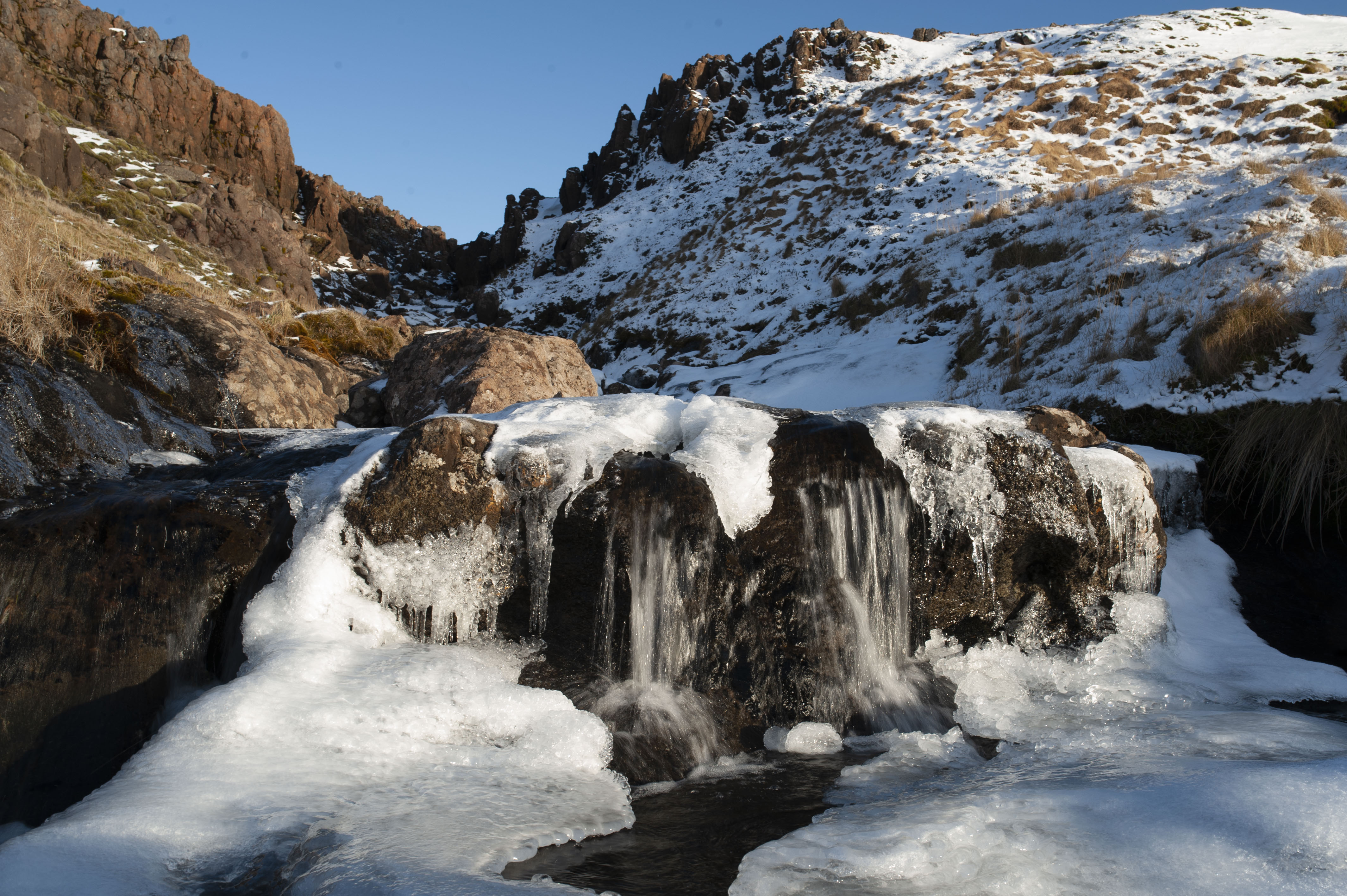 GYT 20220706 074121  DSC6571